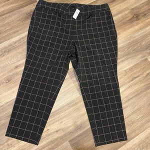 Loft Plus Dress Pants